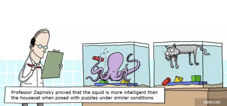 Cartoon auf dem zwei mit Wasser gefüllte Aquarien zu sehen sind. Im einen Aquarium befindet sich ein Otcopus, der mit seinen Greifarmen bunte Bauklötze sortiert. Im zweiten Aquarium schwimmt eine nicht mehr ganz so lebendige Katze an der Oberfläche, die Bauklötze liegen bunt zerstreut auf dem Boden des Aquariums. Im Vordergrund steht ein Mann, der sich Notizen auf einem Klemmbrett macht. Der Text zum Cartoon lautet: Professor Zapinsky proved that the squid is more intelligent than the housecat when posed with puzzles under similar conditions.